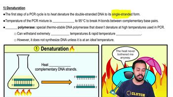 1) Denaturation