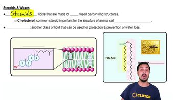 Steroids & Waxes