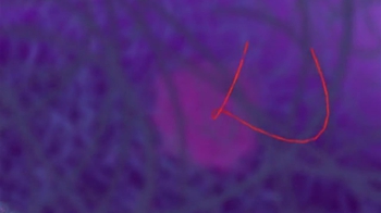 BioFlix:Tour of an Animal Cell