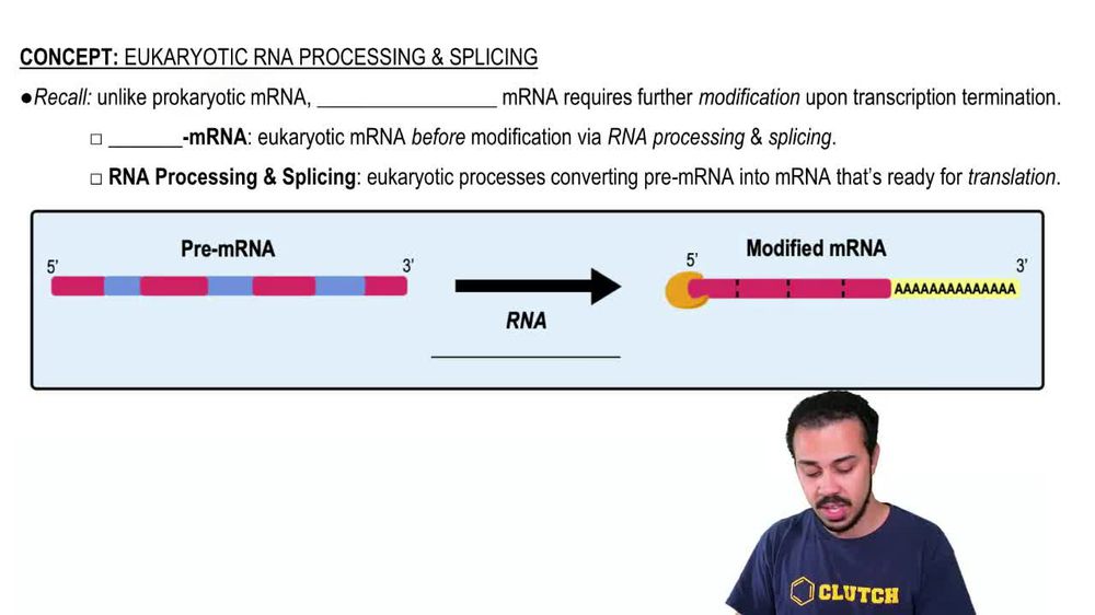 Eukaryotic RNA Processing and Splicing