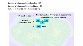 Animation: Techniques for Estimating Population Density and Size