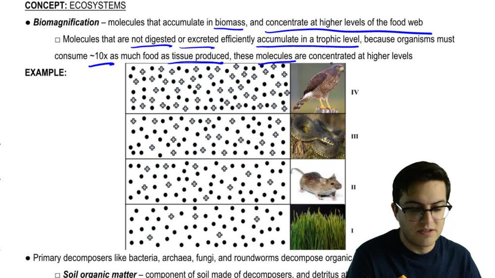 Biomagnification and Decomposers