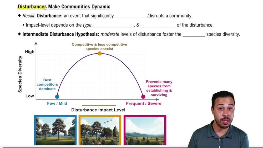 Disturbances Make Communities Dynamic