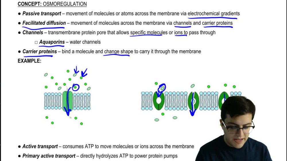 Active and Passive Transport