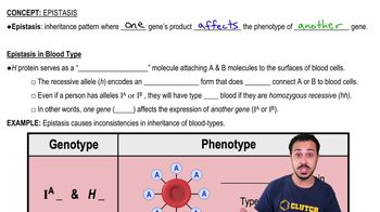 Epistasis