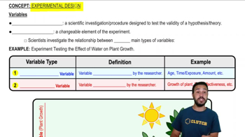 Variables