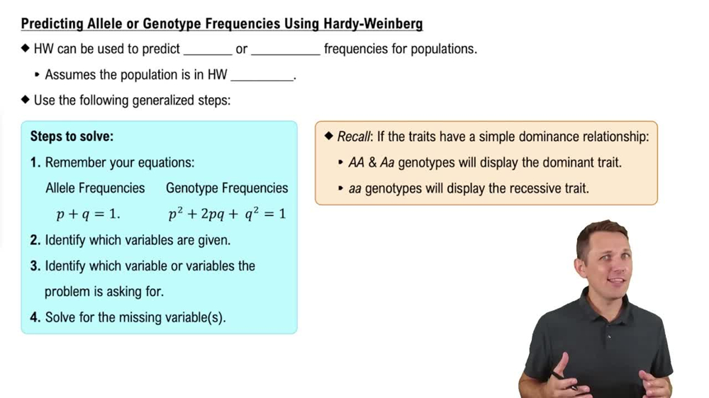 Predicting Allele or Genotype Frequencies Using Hardy-Weinberg