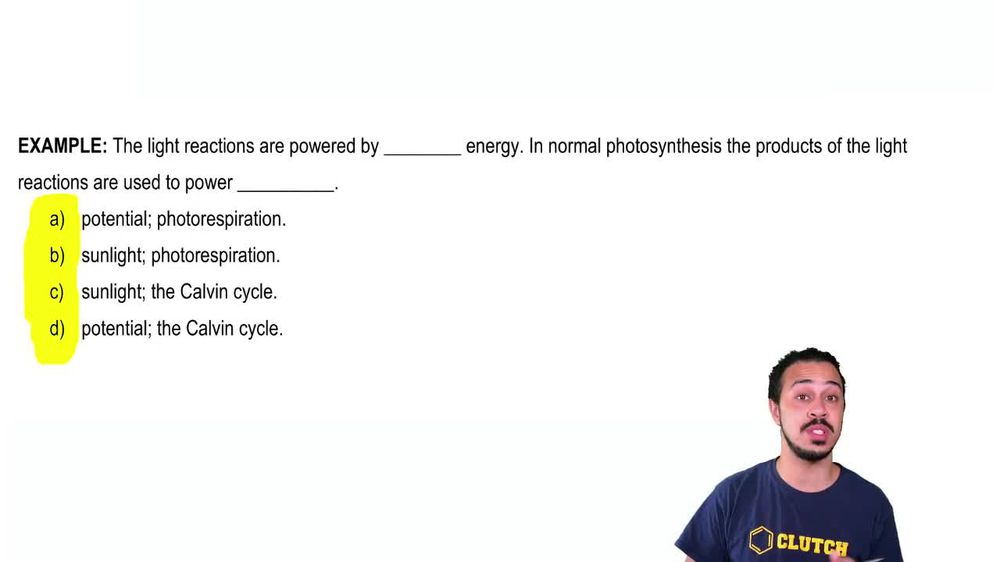 Light Reactions of Photosynthesis Example 1