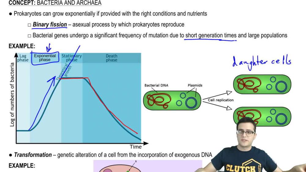 Binary Fission, Transformation, and Transduction