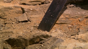 HHMI BioInteractive: The Origin of Birds