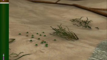 BioFlix: Natural Selection