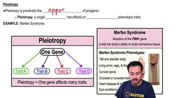 Pleiotropy