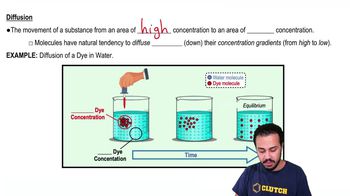Diffusion