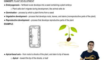 Embryogenesis and Body Axes
4495