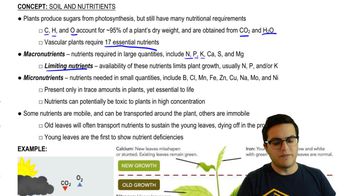 Soil Nutrients