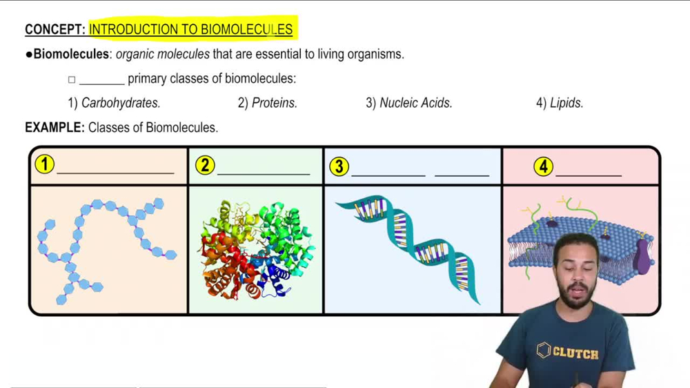 Introduction to Biomolecules