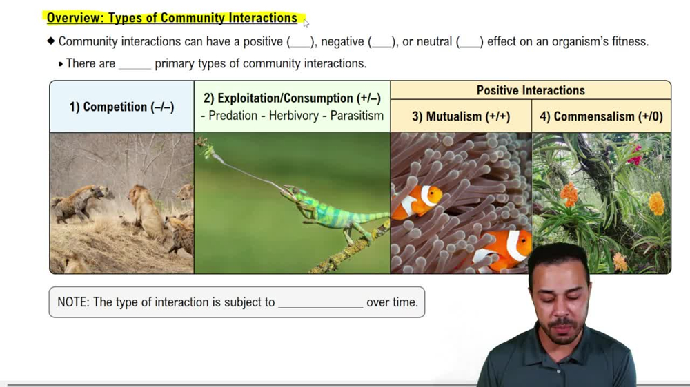 Overview: Types of Community Interactions