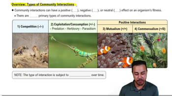Overview: Types of Community Interactions
