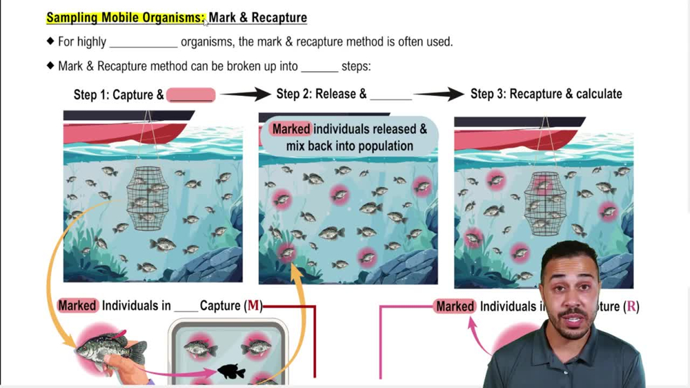 Sampling Mobile Organisms: Mark & Recapture