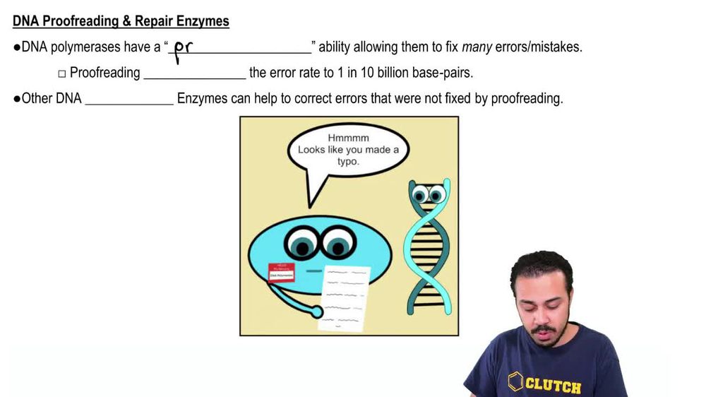 DNA Proofreading & Repair Enzymes