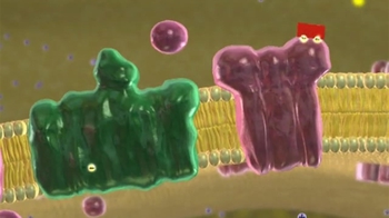 BioFlix: Photosynthesis