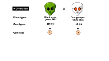 Animation: Crosses of Two Characters in "MendAliens"