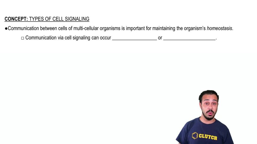 Types of Cell Signaling