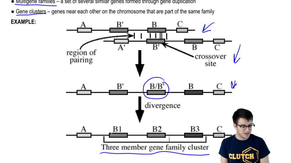 Gene Families
