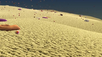 BioFlix: How Neurons Work