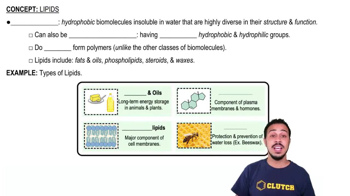 Lipids