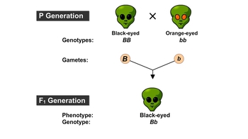 Animation: Cross of One Character in "MendAliens"