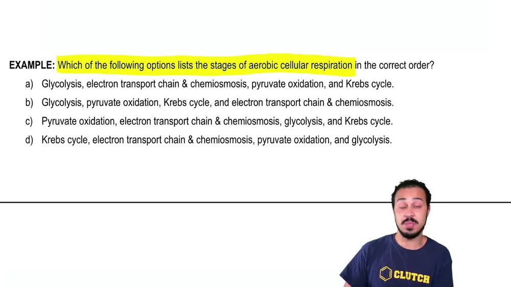 Introduction to Cellular Respiration Example 1