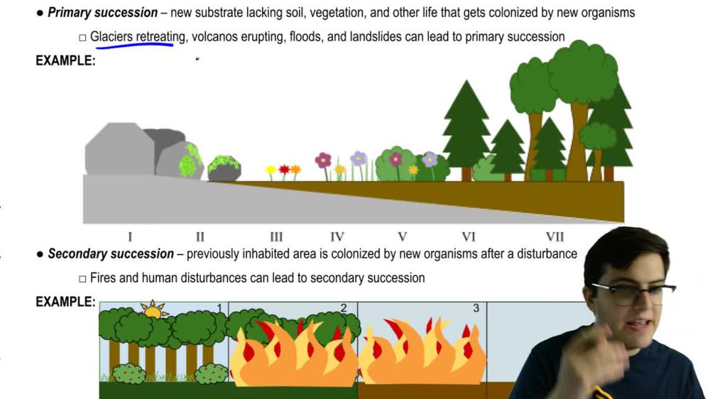 Ecological Succession