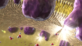 BioFlix: Electron Transport Chain and Chemiosmosis
