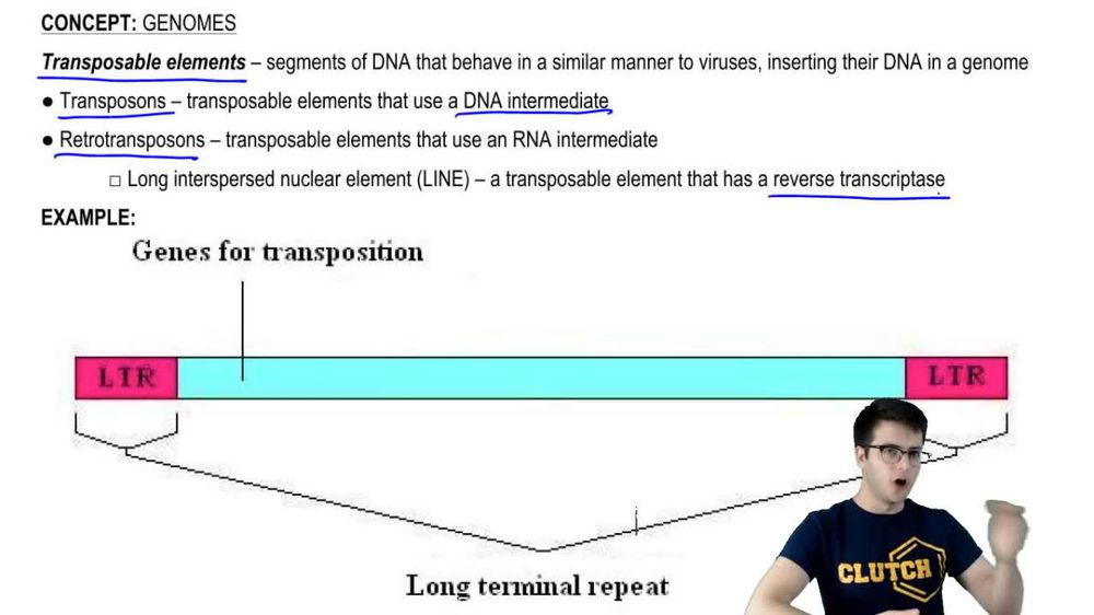 Transposable Elements and Pseudogenes