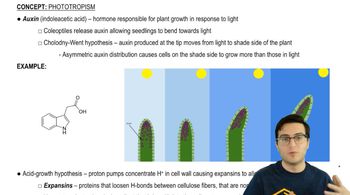 Auxin