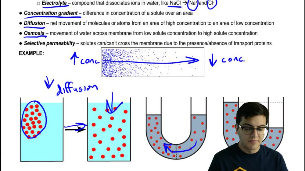 Osmosis and Osmolarity