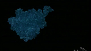 BioInteractive: Gleevec