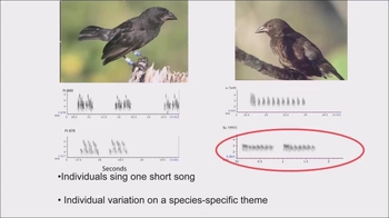 Short Video: Prezygotic Barriers