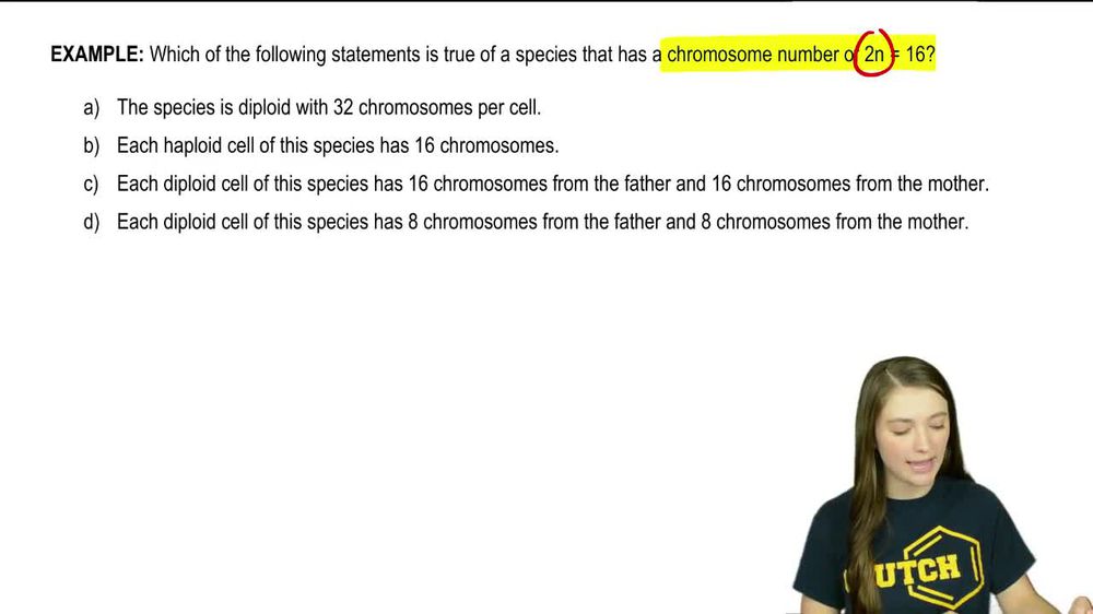 Genes & Alleles Example 1