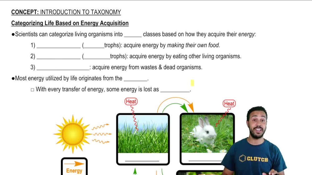 Categorizing Life Based on Energy Acquisition