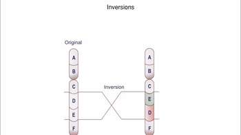 Animation: Alterations of Chromosome Structure