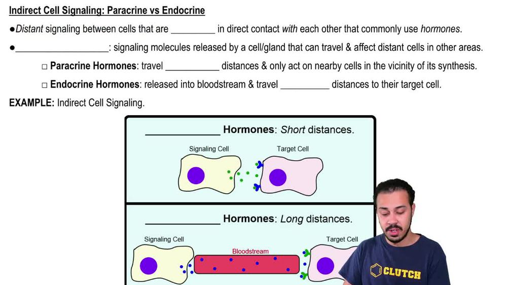 Indirect Cell Signaling: Paracrine vs Endocrine