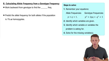 B. Calculating Allele Frequency from a Genotype Frequency