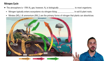 Nitrogen Cycle