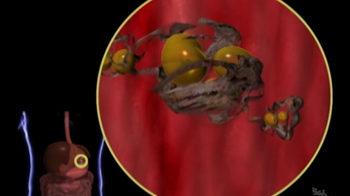 HHMI BioInteractive: Fate of Fat