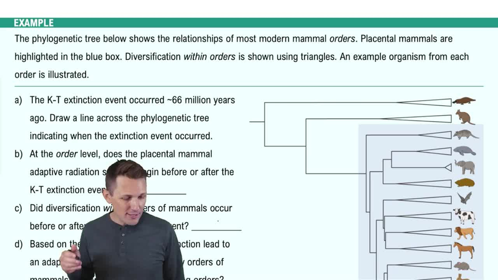 Adaptive Radiation Example 1