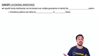 Autosomal Inheritance