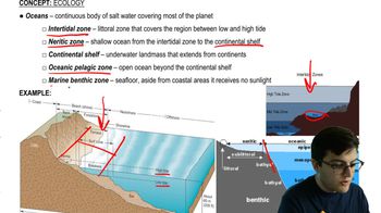 Marine Biomes