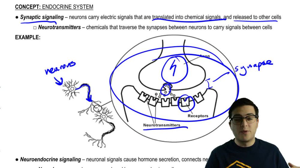 Neuroendocrine Signaling